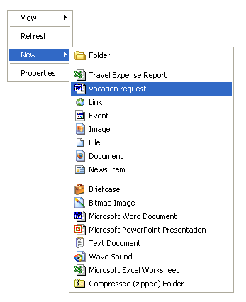 expense report template. (Travel Expense Report,